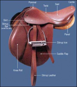 How to keep stirrups level, adjust your stirrups, Parts of the saddle