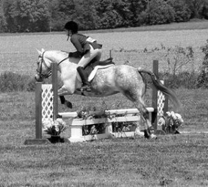 equitation, what the judge is looking for, horse training, horse riding, thistle ridge skill builders, thistle ridge stables, laura kelland-may, what the judge is looking for, hunter jumper, hunter judge