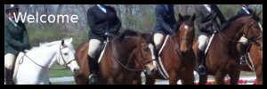 hunter jumper, horse show, horse riding, horse training, Laura Kelland-May, thistle Ridge Skill Builders, thistle Ridge Stables, equitation, how to win at horse shows, show ring ready