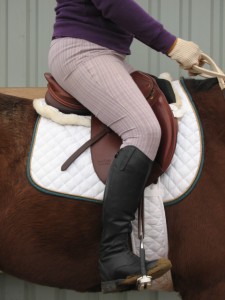 HOrse training, dressage training, straight horse, laura kelland-may, horse trainer ottawa, horse trainer canada