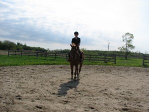 Horse training, dressage training, straighten your horse, horse trainer ottawa, horse trainer canada, laura kelland-may