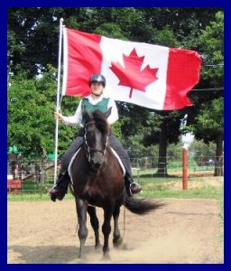 Canadian Breed, horse riding, horse riding Ottawa, horse training Ottawa, Laura Kelland-May