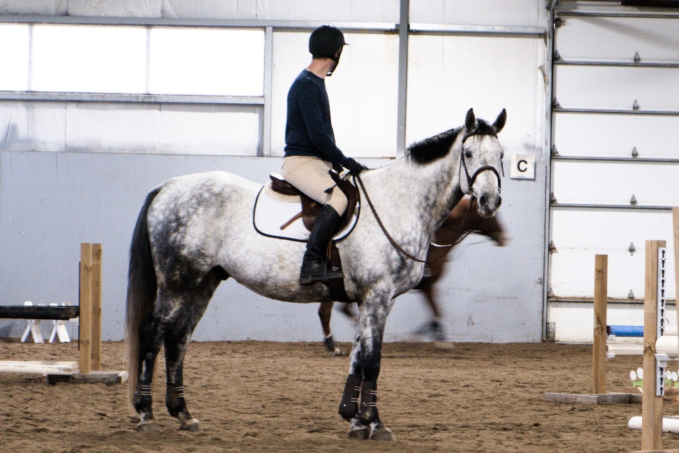 3 Key Tips to Boosting your Score in the Hunter Ring