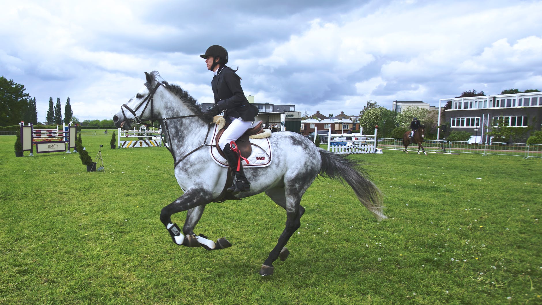 horse action dutch sports
