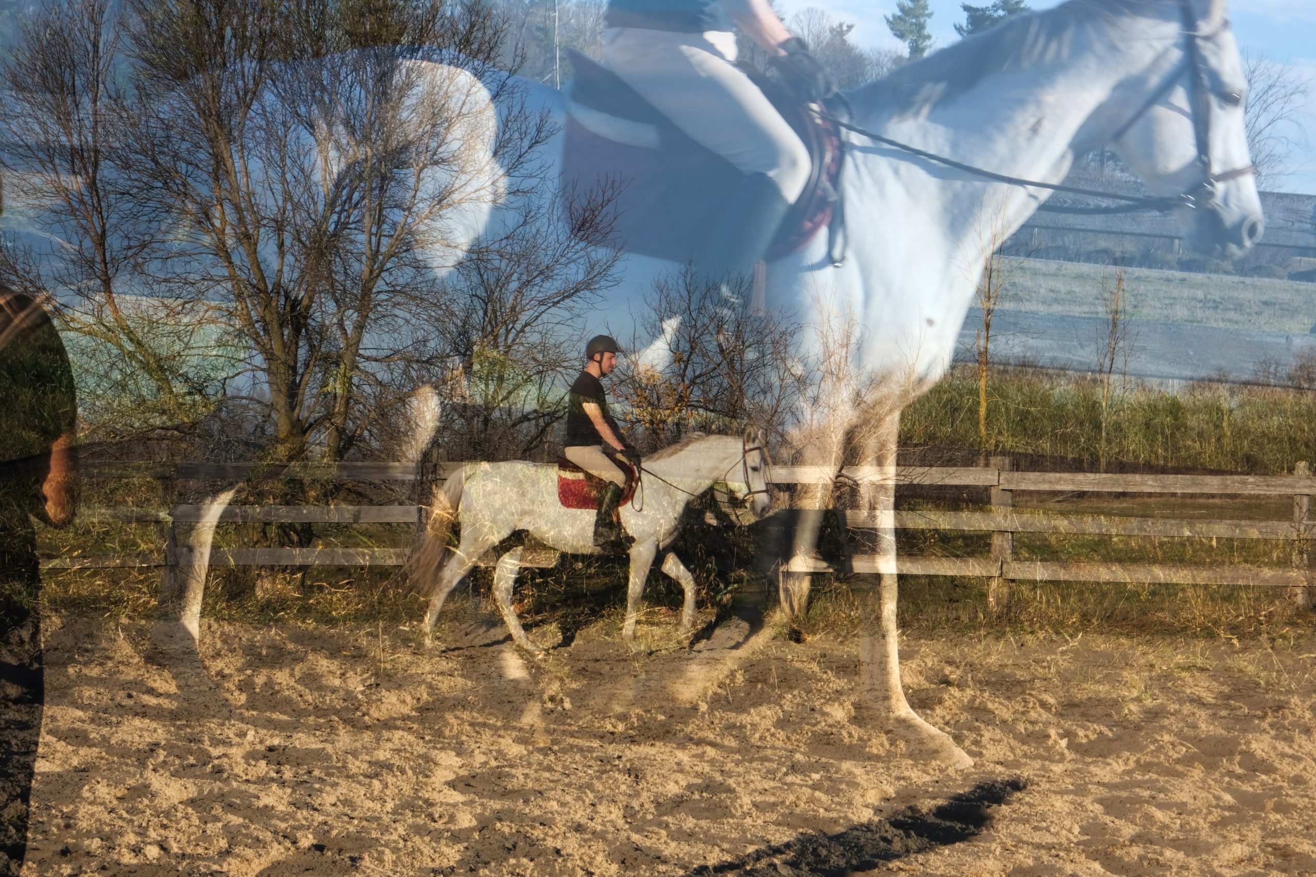 How to teach my horse to jump?