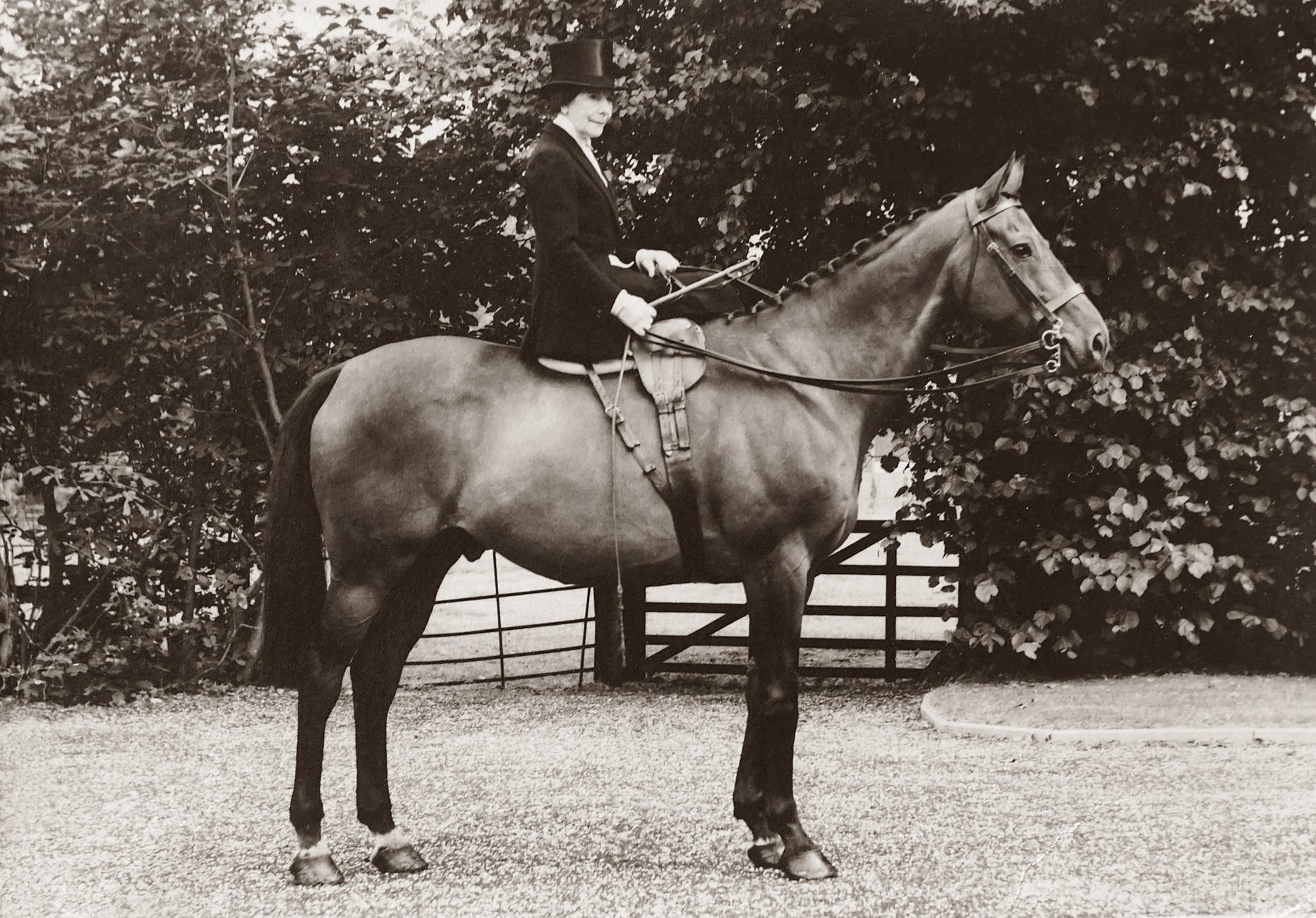 grayscale photo of woman seated on horse